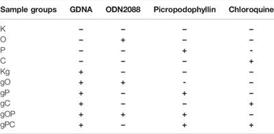 Survival of HT29 Cancer Cells Is Affected by IGF1R Inhibition via Modulation of Self-DNA-Triggered TLR9 Signaling and the Autophagy Response